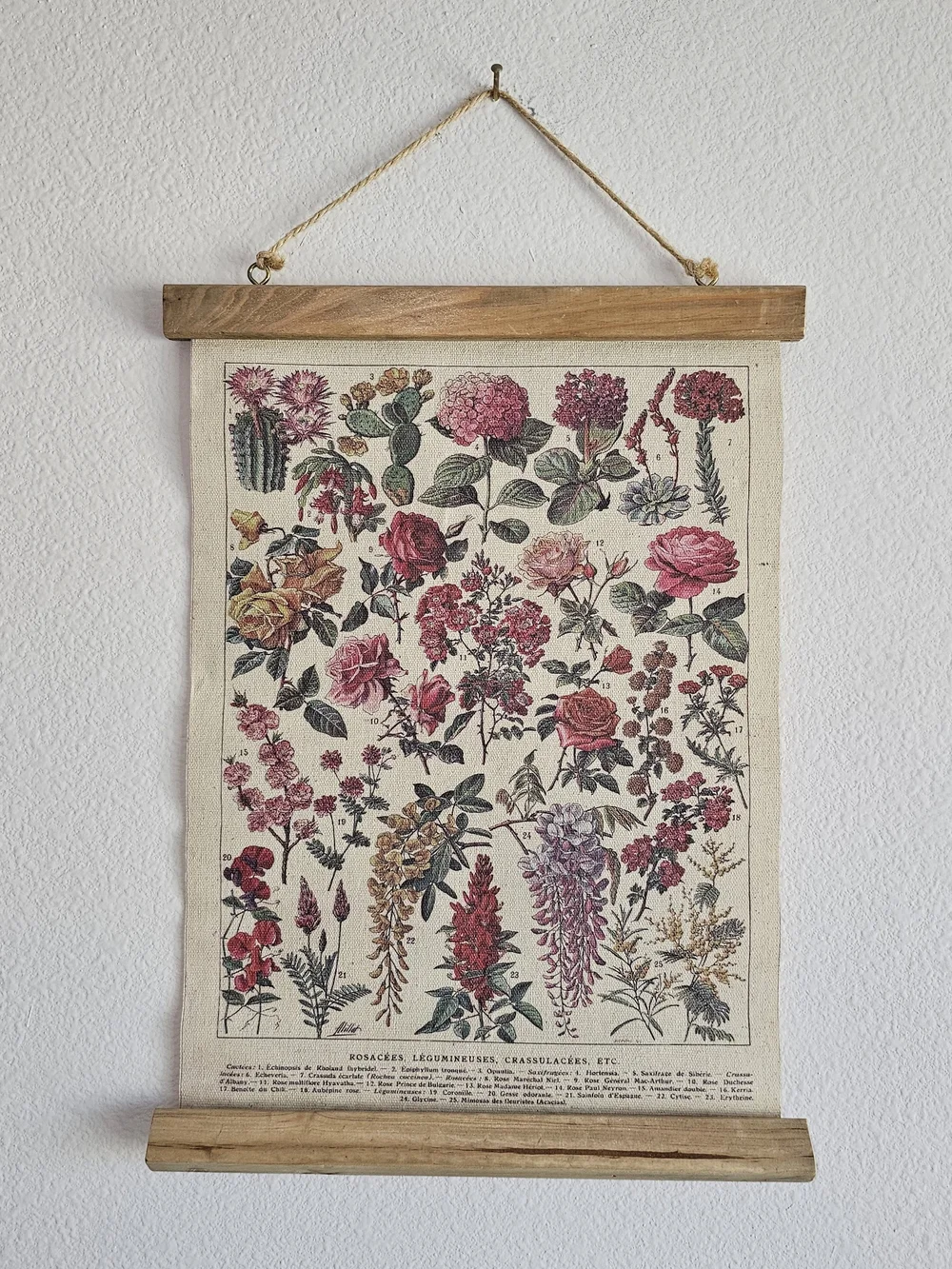 NWOT Vintage Botanical Floral Wall Art Print - Pink and Green